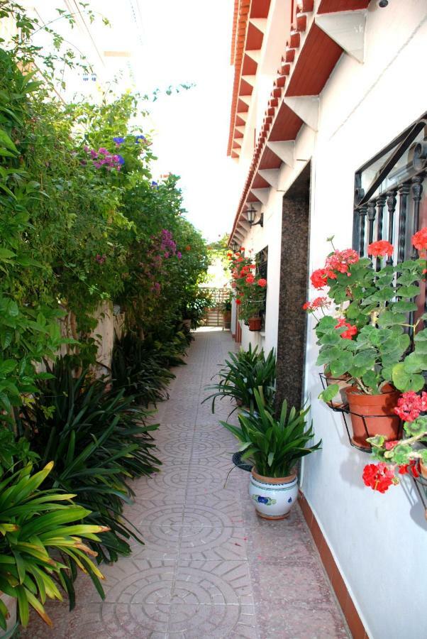Apartamentos Inter Gandia Playa Dış mekan fotoğraf